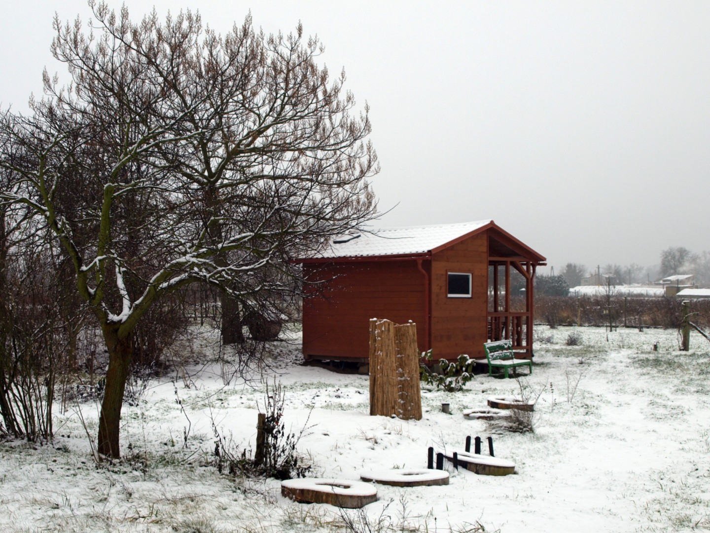 Zdjęcie arboretum zimą