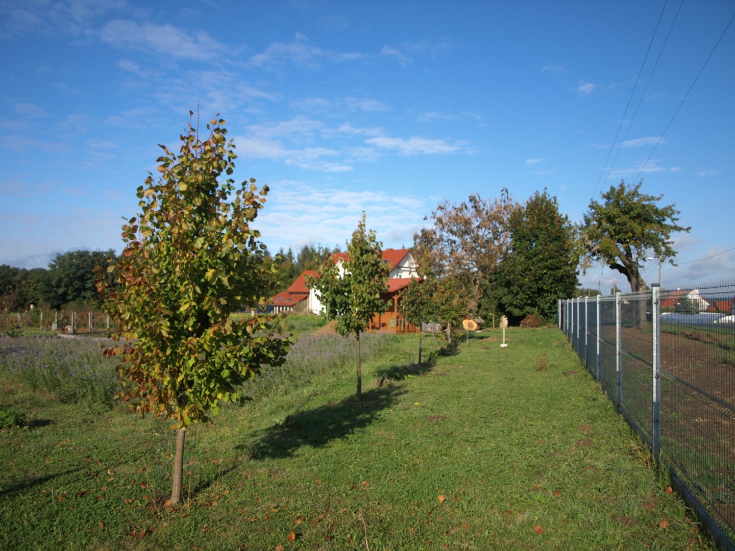Zdjęcie arboretum